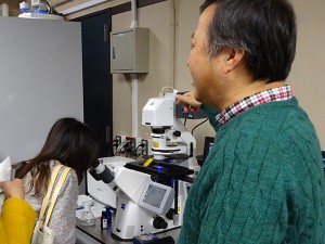 共焦点 レーザースキャン顕微鏡の体験