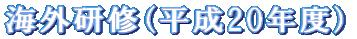 海外研修（平成20年度）